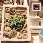 DECO*deco studio,2025年6月1日開催ボタニカルフェス,トハメルカド境赤レンガ倉庫第10回,ボタニカルフェス,レイニーフェス,ワークショップ,手作り市,伊勢崎市イベント,群馬県マルシェ,植物イベント,主催株式会社多肉永遠