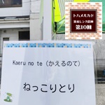 kaeru no te,2025年6月1日開催ボタニカルフェス,トハメルカド境赤レンガ倉庫第10回,ボタニカルフェス,レイニーフェス,ワークショップ,手作り市,伊勢崎市イベント,群馬県マルシェ,植物イベント,主催株式会社多肉永遠