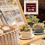 k♡garden,2025年6月1日開催ボタニカルフェス,トハメルカド境赤レンガ倉庫第10回,ボタニカルフェス,レイニーフェス,ワークショップ,手作り市,伊勢崎市イベント,群馬県マルシェ,植物イベント,主催株式会社多肉永遠