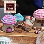 てのひら園芸ゆかむ,2025年6月1日開催ボタニカルフェス,トハメルカド境赤レンガ倉庫第10回,ボタニカルフェス,レイニーフェス,ワークショップ,手作り市,伊勢崎市イベント,群馬県マルシェ,植物イベント,主催株式会社多肉永遠