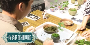 和雑貨　篁,2025年7月27日開催ボタニカルフェス,トハメルカド有鄰館初開催,ボタニカルフェス,サマーフェス,ワークショップ,有鄰館煉瓦蔵,手作り市,桐生市イベント,群馬県マルシェ,重要文化財有鄰館植物イベント,主催株式会社多肉永遠