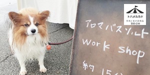 トハメルカド第11回2025年10月26日イベント風景,栃木県足利市中橋緑地北多目的広場,アンティークマルシェ,河川敷イベント,,株式会社多肉永遠