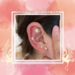 耳つぼジュエリー　Little pii,2025年12月28日開催,ボタニカルフェス,トハメルカド,境赤レンガ倉庫,第12回,手作り市,伊勢崎市イベント,群馬県マルシェ,植物イベント