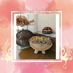 Mana_'s,2025�N12��28���J��,�{�^�j�J���t�F�X,�g�n�����J�h,���ԃ����K�q��,��12��,����s,�ɐ���s�C�x���g,�Q�n���}���V�F,�A���C�x���g