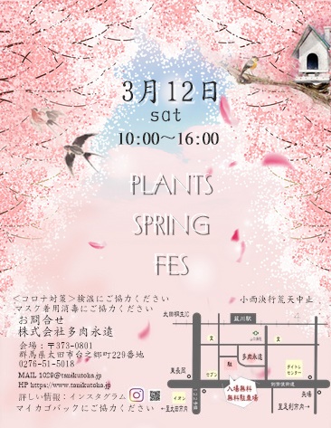 PlantsSpringFes,QncsCxg,AƏ̌|pi,Qn}VF,Qna̎s,s,Lb`J[Cxg,ÊБi