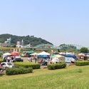 トハメルカド多肉と匠の芸術品,栃木県足利市永楽町北多目的広場,キッチンカー,手作り市,ハンドメイド,蚤の市,フリーマーケット,栃木県イベント,栃木県マルシェ,植物イベント,主催株式会社多肉永遠