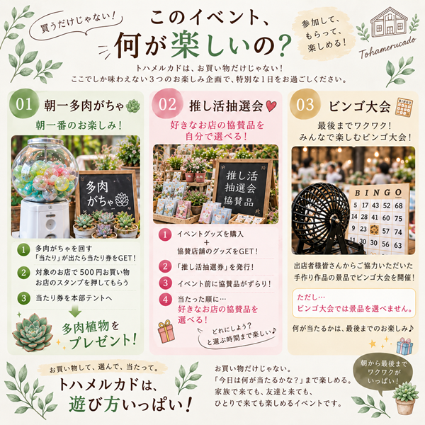 多肉がちゃをしている様子